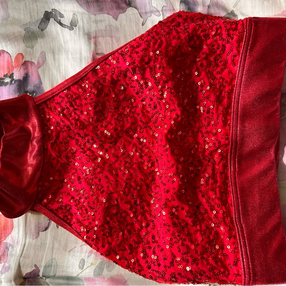 Red and Black Costume, Sparkly Women’s Top